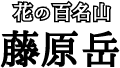 花の百名山　藤原岳